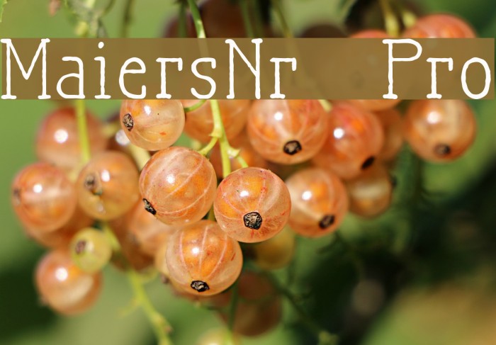 MaiersNr.21Pro Font examples