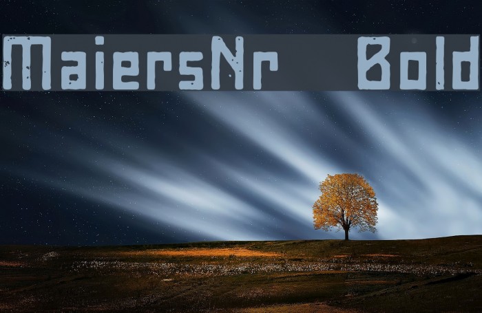 MaiersNr8-Bold Font examples