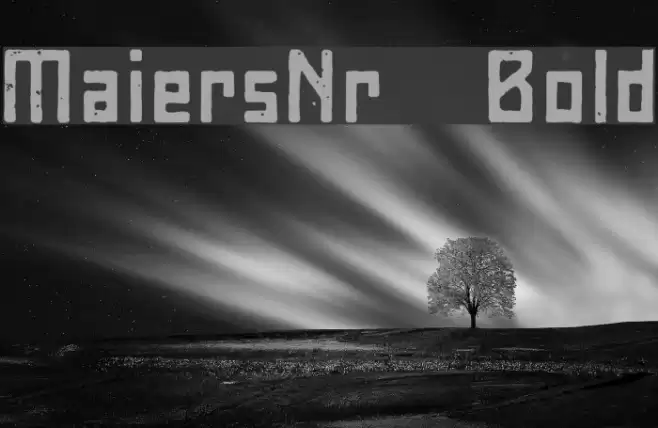 MaiersNr8-Bold Fuentes examples