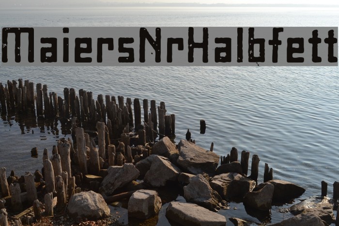 MaiersNr8-Halbfett Font examples