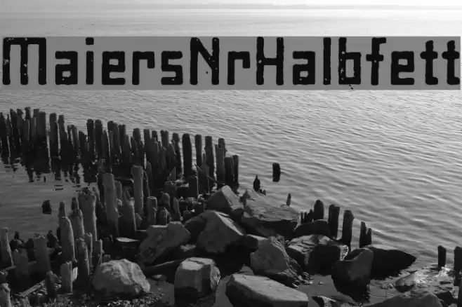 MaiersNr8-Halbfett Schriftart examples