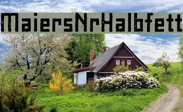 MaiersNr8-Halbfett Font examples