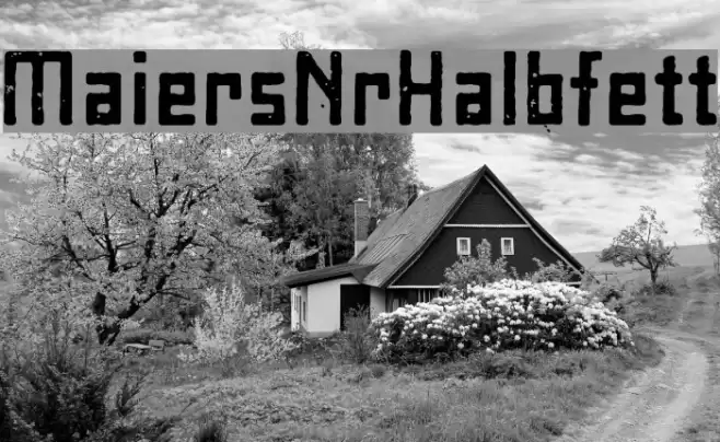 MaiersNr8-Halbfett Schriftart examples