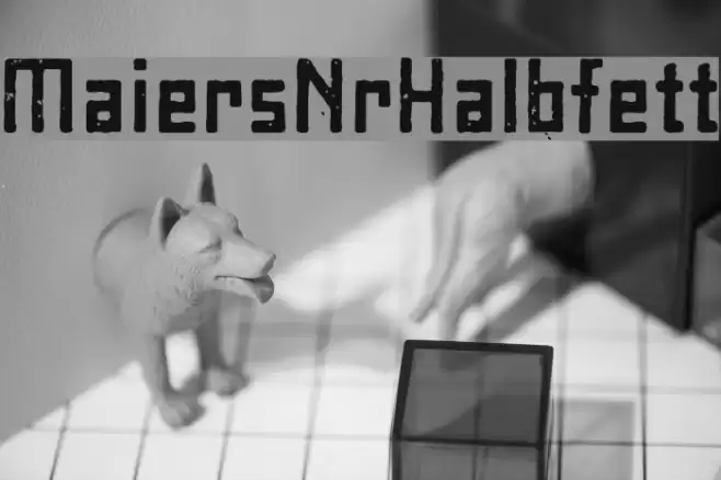 MaiersNr8-Halbfett Schriftart examples