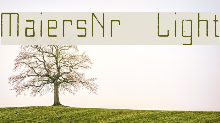 MaiersNr8-Light Example 2