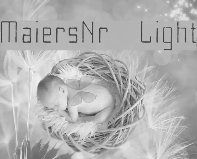 MaiersNr8-Light Font examples