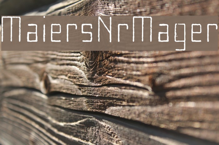 MaiersNr8-Mager Font examples