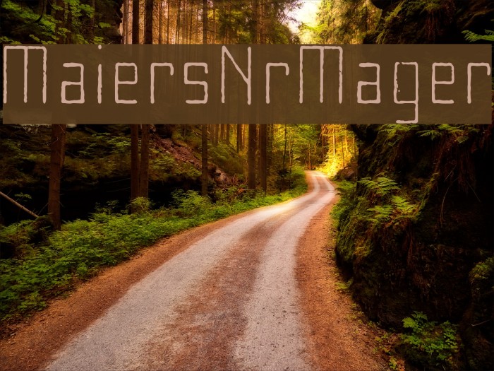 MaiersNr8-Mager Font examples