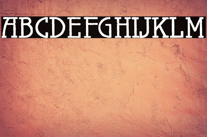 MaiersNr.Reduced-Bold Example 3