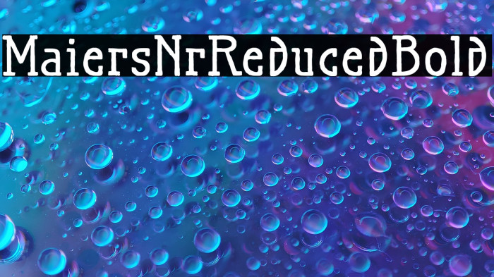 MaiersNr.Reduced-Bold Example 1