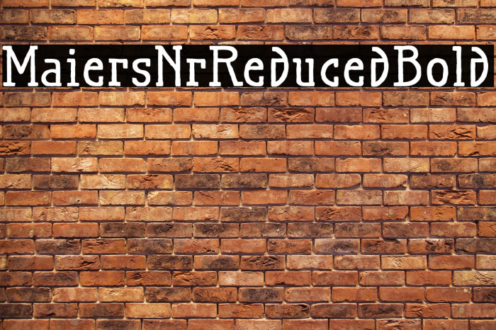 MaiersNr.Reduced-Bold Example 2