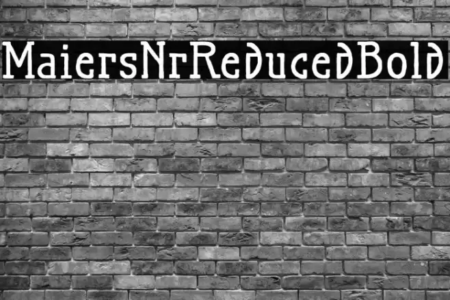 MaiersNr.Reduced-Bold Font examples
