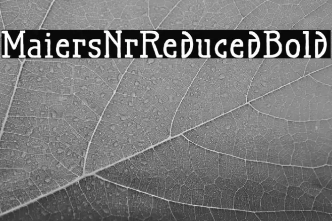 MaiersNr.Reduced-Bold Font examples