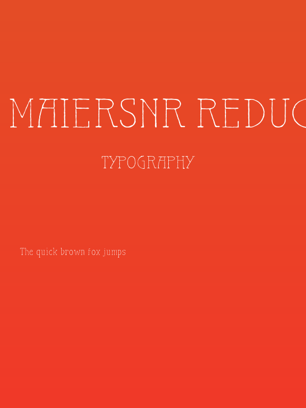 MaiersNr.Reduced-Light Poster