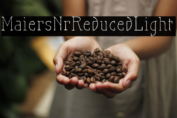 MaiersNr.Reduced-Light Example 1