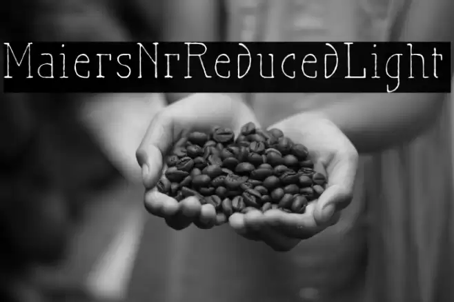 MaiersNr.Reduced-Light Font examples