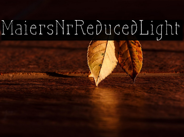 MaiersNr.Reduced-Light Example 2