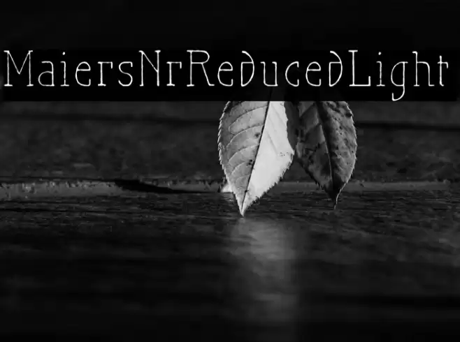 MaiersNr.Reduced-Light Font examples