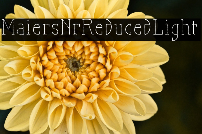 MaiersNr.Reduced-Light Example 3