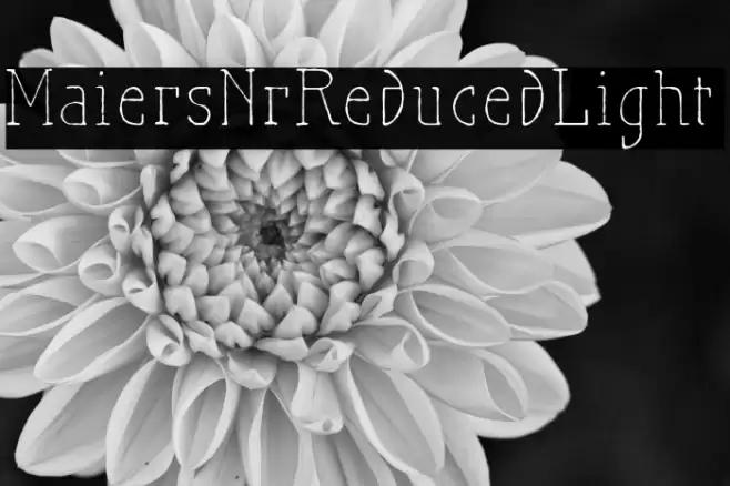 MaiersNr.Reduced-Light Font examples