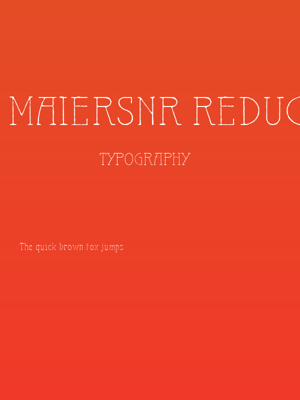 MaiersNr.Reduced-Light Poster