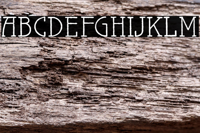 MaiersNr.Reduced Example 3