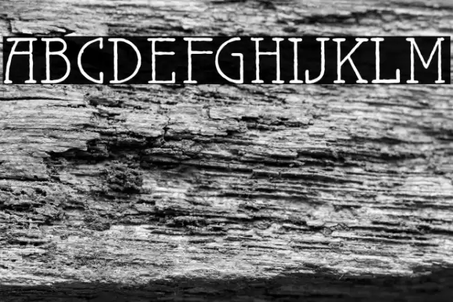 MaiersNr.Reduced Font examples