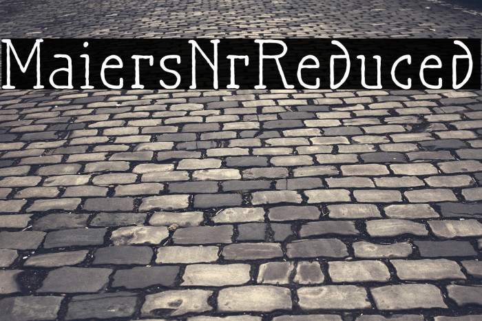 MaiersNr.Reduced Example 1