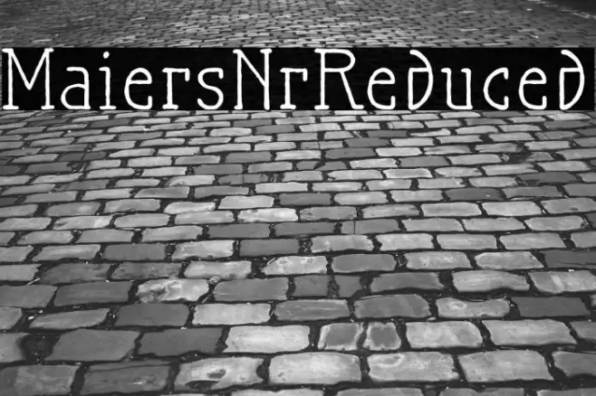 MaiersNr.Reduced Font examples
