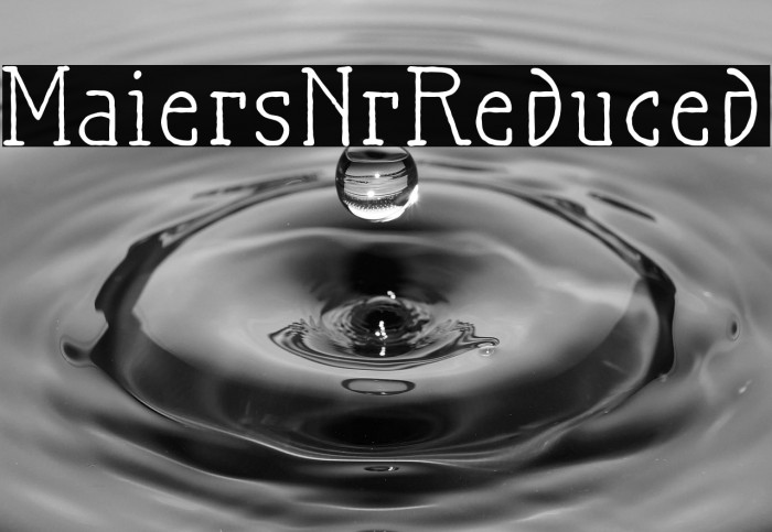 MaiersNr.Reduced Example 2