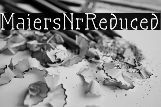 MaiersNr.Reduced Font examples