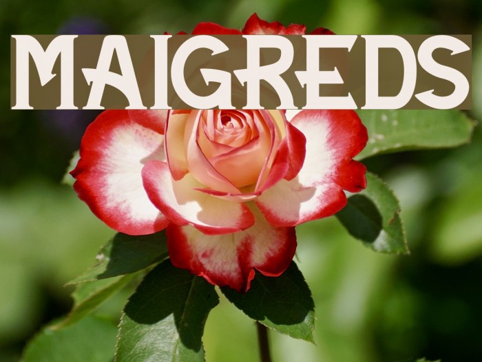 Maigreds Font examples