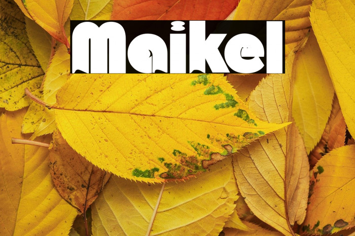Maikel Шрифта examples