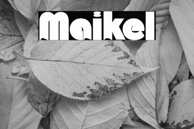 Maikel Font examples