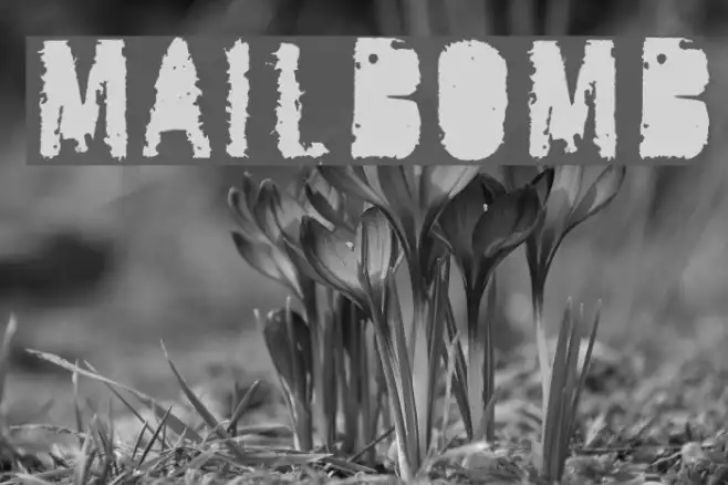 MailBomb Example 2