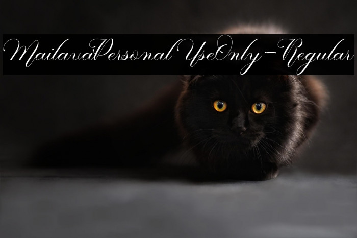 MailavaPersonalUseOnly-Regular Example 1