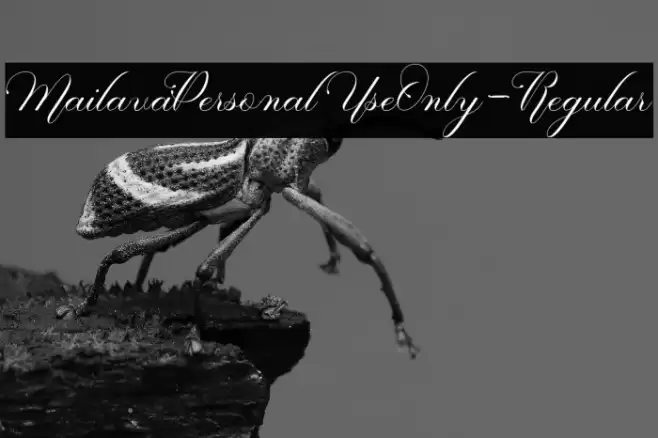 MailavaPersonalUseOnly-Regular Font examples