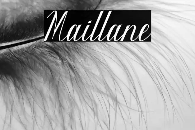 Maillane Font examples