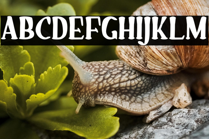 Main Battle all caps Example 2