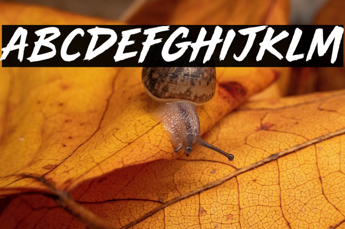 Main Frame Example 3