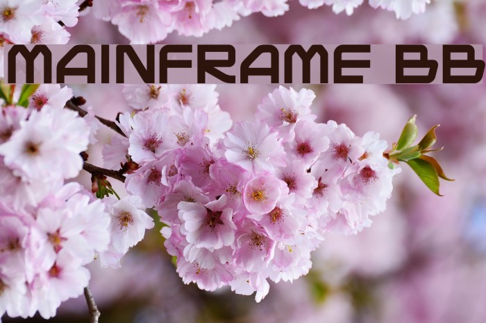 Mainframe BB Font examples