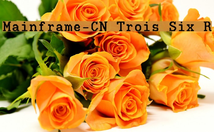 Mainframe-CN Trois Six R Font examples