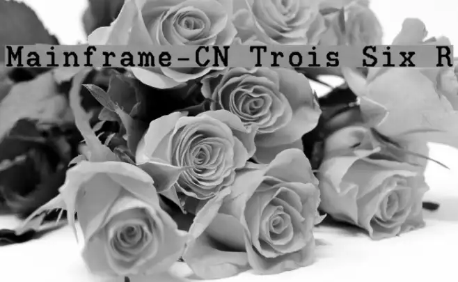 Mainframe-CN Trois Six R Example 1