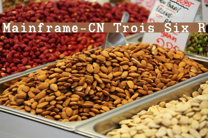 Mainframe-CN Trois Six R Font examples
