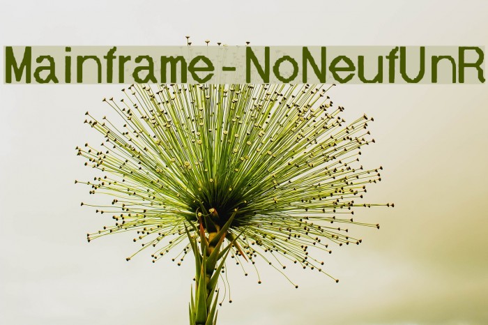 Mainframe-NoNeufUnR Example 3