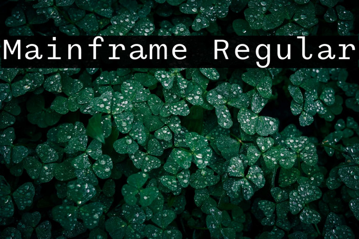 Mainframe Regular Example 1