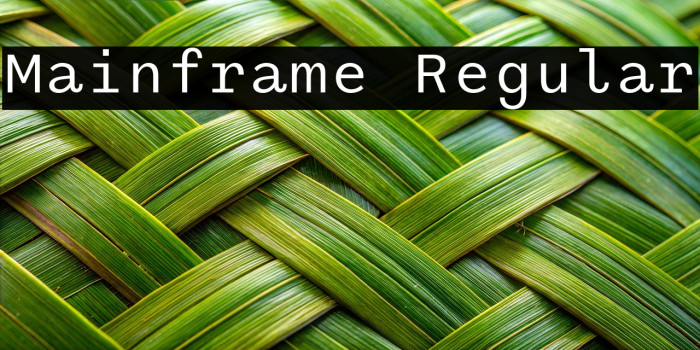 Mainframe Regular Example 3