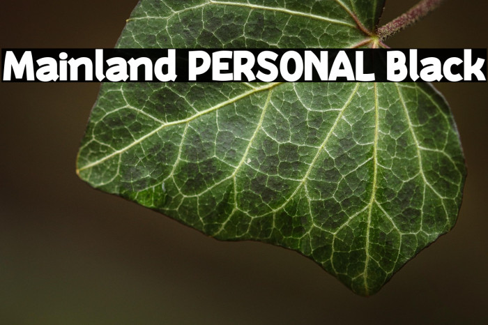Mainland PERSONAL Black Example 1
