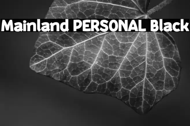 Mainland PERSONAL Black Font examples