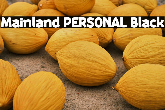 Mainland PERSONAL Black Example 3